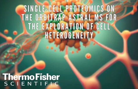 Single-cell proteomics on the Orbitrap Astral MS for the exploration of cell heterogeneity