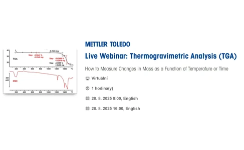 Thermogravimetric Analysis (TGA) 