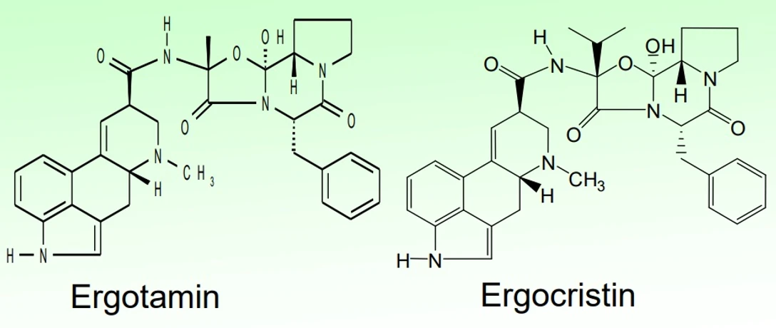 Mihulka: Námelové alkaloidy