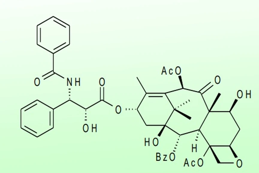 Mihulka: Paclitaxel