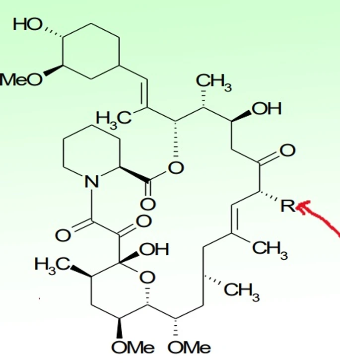 Mihulka: Tacrolimus