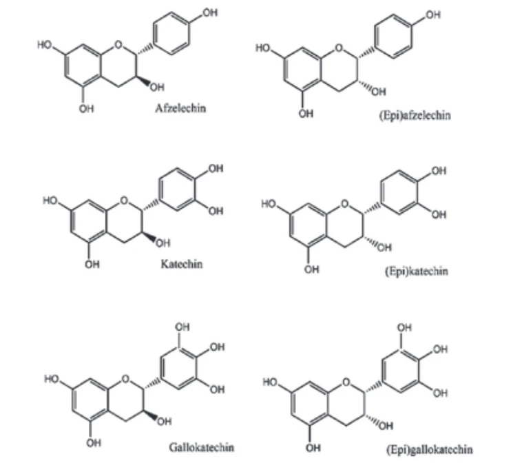 Obr. 1 Monomerní jednotky proanthokyanidinů (Predy et al., 2009)