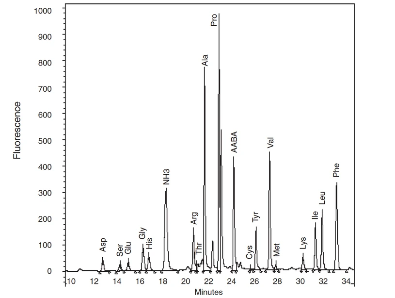 Obr. 2 Chromatogram aminokyselin vzorku piva