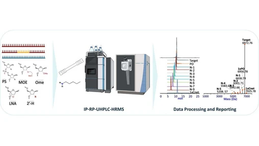 Characterisation of small RNA-based therapeutics and their process impurities by fast and sensitive liquid chromatography high resolution mass spectrometry