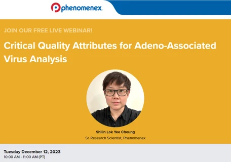 Critical Quality Attributes for Adeno-Associated Virus Analysis