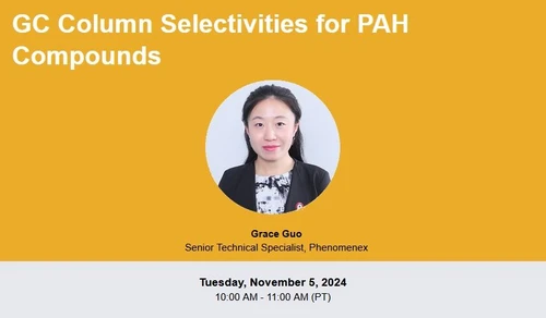 GC Column Selectivities for PAH Compounds