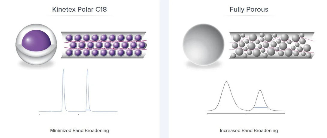 Phenomenex: Kinetex Polar C18 vs Fully Porous phase