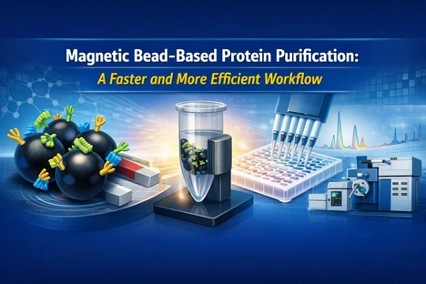 Purifikace proteinů pomocí magnetických kuliček: Rychlejší a efektivnější pracovní postup
