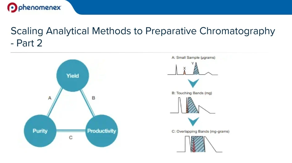 <p>Phenomenex: Scaling Analytical Methods to Preparative Chromatography - Part 2</p>