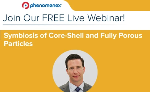 Symbiosis of Core-Shell and Fully Porous Particles