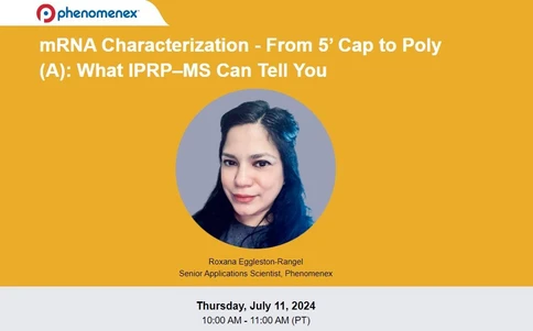 mRNA Characterization - From 5’ Cap to Poly (A): What IPRP–MS Can Tell You