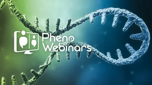 Fundamentals First Bio Series: A Beginner’s Roadmap to mAb CQAs and LC Workflows