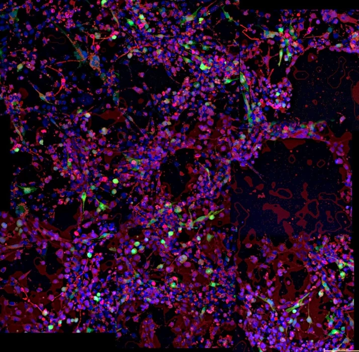 Pragolab: Fluorescence