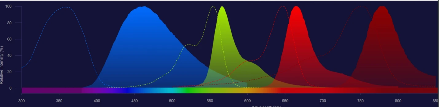 Pragolab: Fluorescenční zobrazování tkání