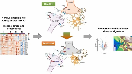 ABCA7 deficiency exacerbates glutamate excitotoxicity in Alzheimer’s disease mice – A new pharmacological target for Glu-related neurotoxicity