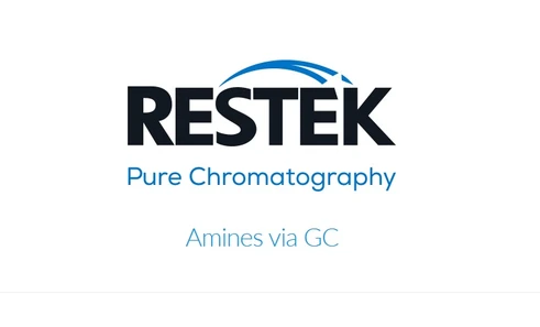 Analysis of Amines/Alkanolamines via GC