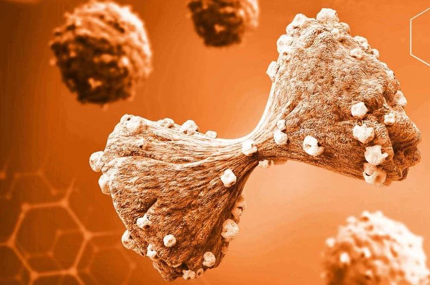 <ul>
<li><strong>Foto:</strong> SHIMADZU: DOSIURA™, a new solution for DPD deficiency screening</li>
</ul>