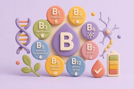 Stanovení vitamínů B1, B2, B3, B5, B6, B7, B9, a B12 v krvi (SPADIA)