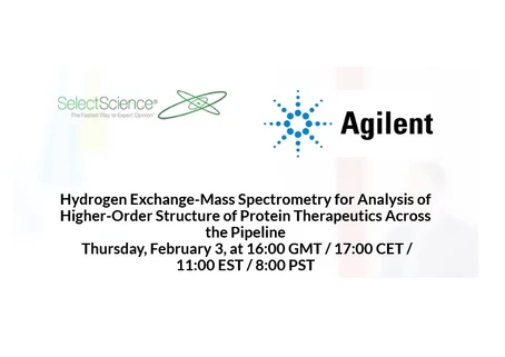 Hydrogen Exchange-Mass Spectrometry for Analysis of Higher-Order Structure of Protein Therapeutics Across the Pipeline