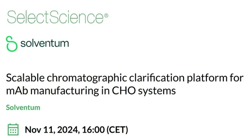 Scalable chromatographic clarification platform for mAb manufacturing in CHO systems 