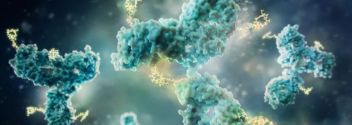SeparationScience: Novel Conjugated Therapeutics Demand New Analytics: LC‑MS Approaches for ADCs and AOCs