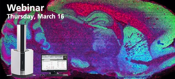 MALDI Mass Spectrometry Imaging for the Masses: An Introduction to MALDI MSI