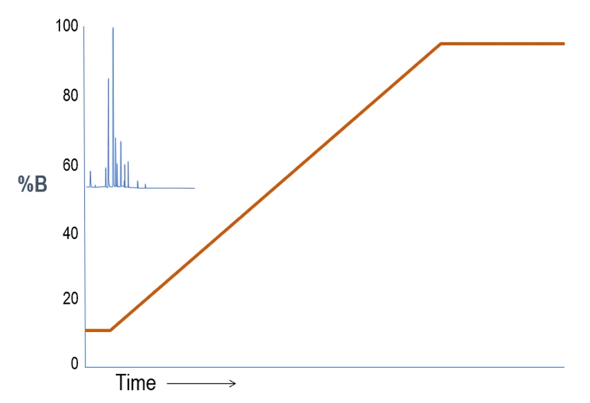 Shimadzu - Průběh HPLC gradientu.png