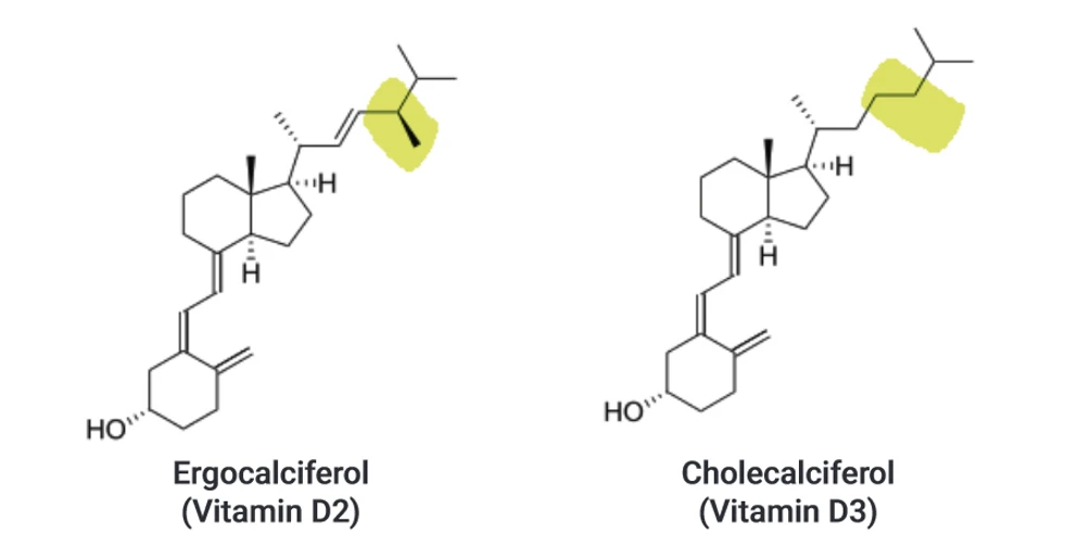 Struktura vitaminu D₂ a D₃