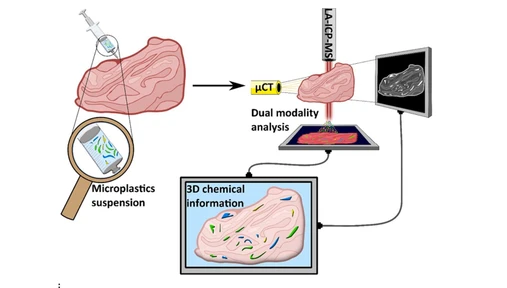 Integrated laser ablation and computed tomography: detecting the chemical footprint of microplastics and reconstructing 3D biological tissues