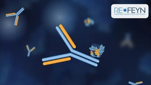 Advancing mAb Stability Studies With Mass Photometry