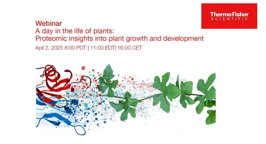 A day in the life of plants: Proteomic insights into plant growth and development