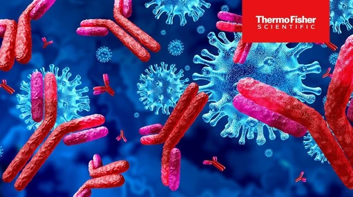 Building Analytical Strategies for Scalable Antibody Development