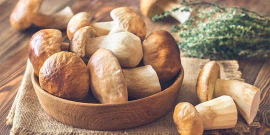 Deciphering Selenium Nutrition Using Speciation Analysis with ICP-MS