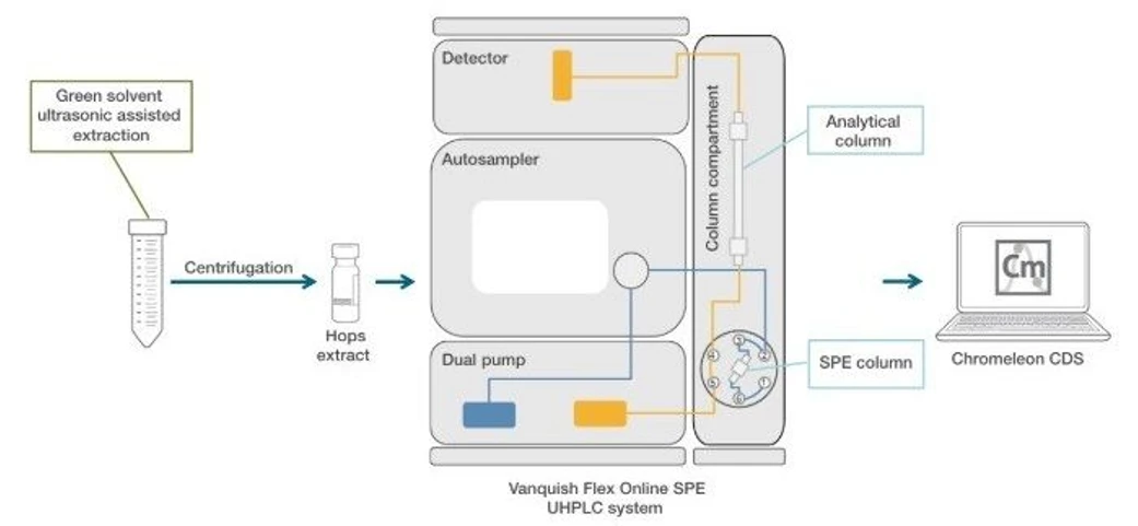 Thermo Fisher Scientific: How Bitter Acid Analysis Helps Brewers Better Control Beer Flavors: Figure 2. Schematic workflow for the determination of bitter acids in hops. The process involves clean up and instrumental analysis using the Thermo Scientific Vanquish Online SPE UHPLC System.