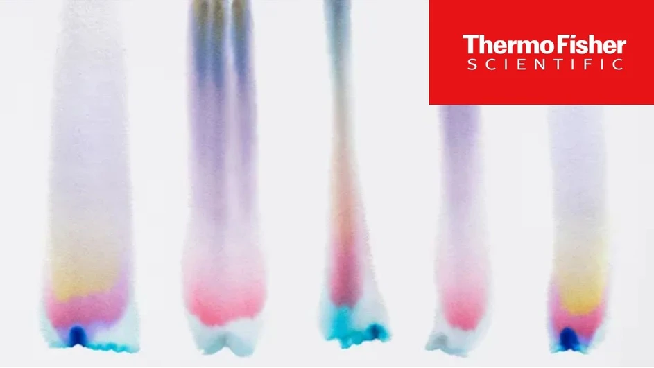 Technology Networks: Tackling Bispecific Antibody Purification: A Polishing Case Study