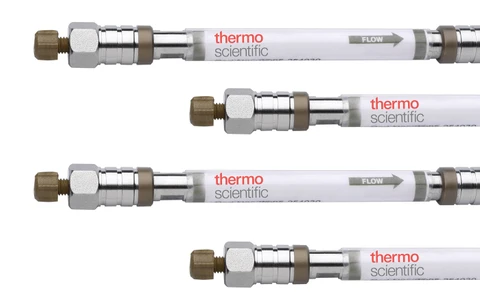 Thermo Scientific Hypersil GOLD Peptide Columns