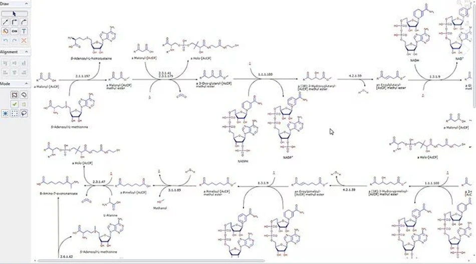Thermo Scientific™ Mass Frontier™ Spectral Interpretation Software: An example of an included Metabolika biological pathway, which can be fully edited and added to.