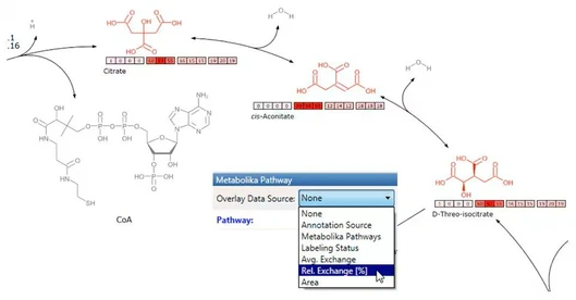 Thermo Scientific Metabolika modul pro snadnou analýzu metabolických drah