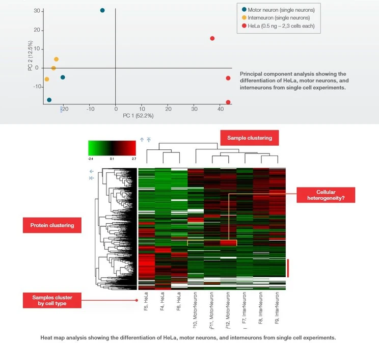 Thermo Scientific Proteome Discoverer Software: Interactive data visualization.