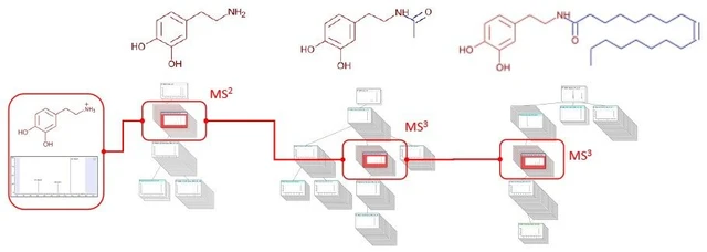 Thermo Scientific mzLogic Algoritmus analýzy dat