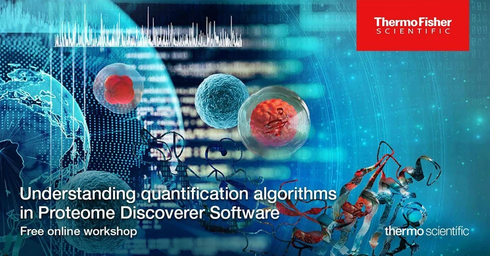 Understanding quantification algorithms