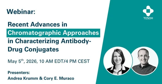 Recent Advances in Chromatographic Approaches in Characterizing Antibody-Drug Conjugates