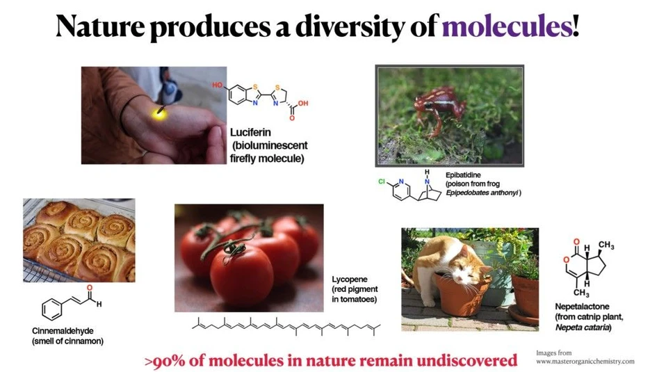IOCB: Scientists from CIIRC CTU and IOCB Prague lead a benchmarking effort for AI-driven discovery of molecules: Living organisms function as chemical factories, generating a vast diversity of molecules with unique structures and functions. However, the majority of these molecules remain unknown.