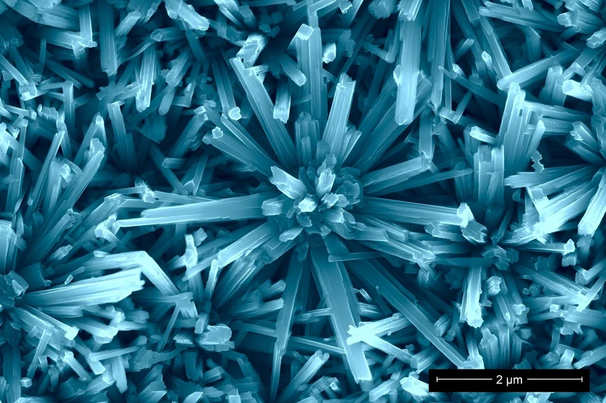 BUT Brno/CEITEC BUT:  "Frozen" under the electron microscope slide.