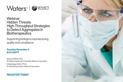 Hidden Threats: High-Throughput Strategies to Detect Aggregates in Biotherapeutics