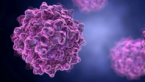 Robust and high-resolution characterization of viral vector quality from development to release with light scattering techniques