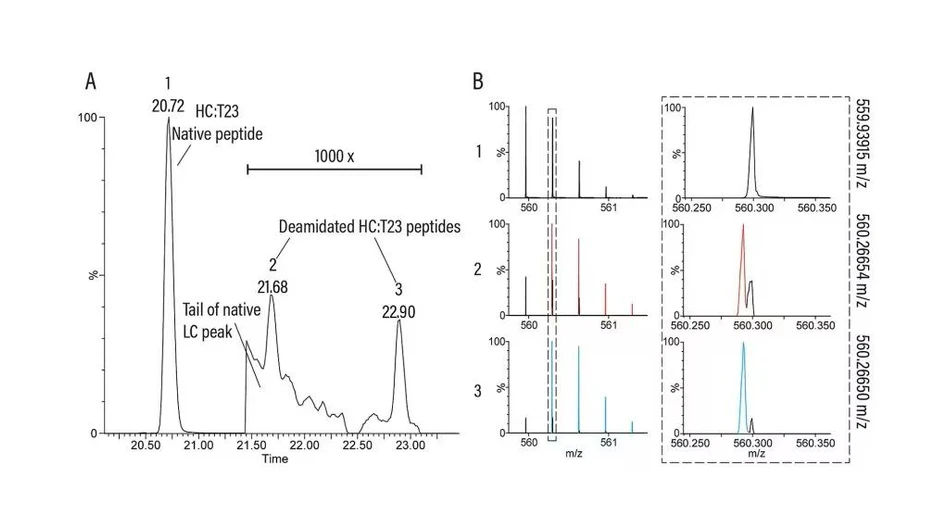 Waters SELECT SERIES MRT: Resolving deamidations for confident quantification. A) The deamidated forms of peptide HC:T23 elute in the tail of the native peptide peak. Without the ultra-high resolution of the SELECT SERIES MRT as shown in (B) identification and quantification of the deamidations.