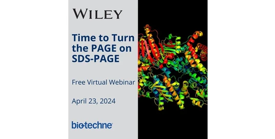 Time to Turn the PAGE on SDS-PAGE!