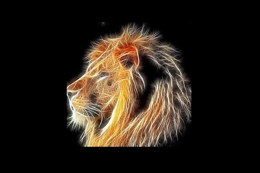 LLionTV