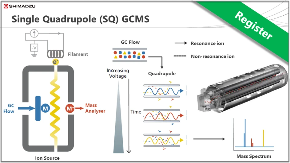 Shimadzu Theory & Key Principles Series - GCMS Session 2: Single Quadrupole (SQ) GCMS